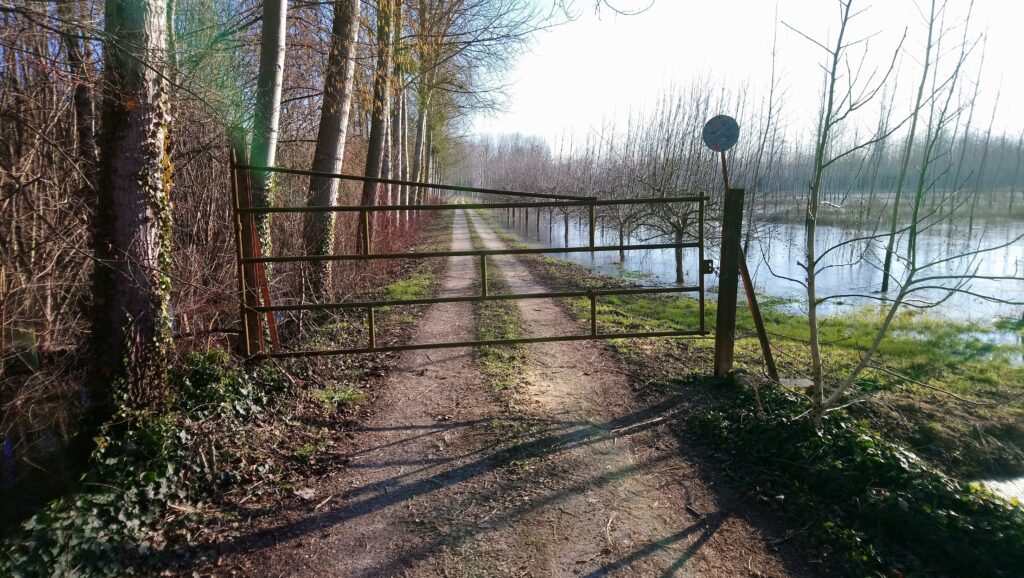 Avant - Portail en fer carré avec motifs et fers de lance – modèle chapeau de gendarme vert