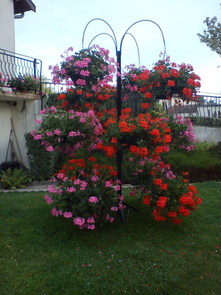 Support à fleurs artisanal en métal noir pouvant accueillir jusqu’à 12 pots