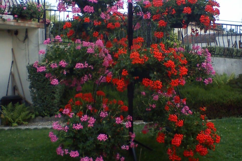 Support à fleurs artisanal en métal noir pouvant accueillir jusqu’à 12 pots